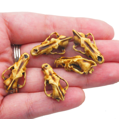 Dire Wolf Skull Miniature (Field Bones #129: Extinct) 1:12 Replica Collectible for Dollhouse and Diorama by The Scale Grail