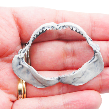 Tiger Shark Jaw Miniature (Field Bones #131: Marine) 1:12 Replica Collectible for Dollhouse and Diorama by The Scale Grail