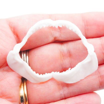 Tiger Shark Jaw Miniature (Field Bones #131: Marine) 1:12 Replica Collectible for Dollhouse and Diorama by The Scale Grail