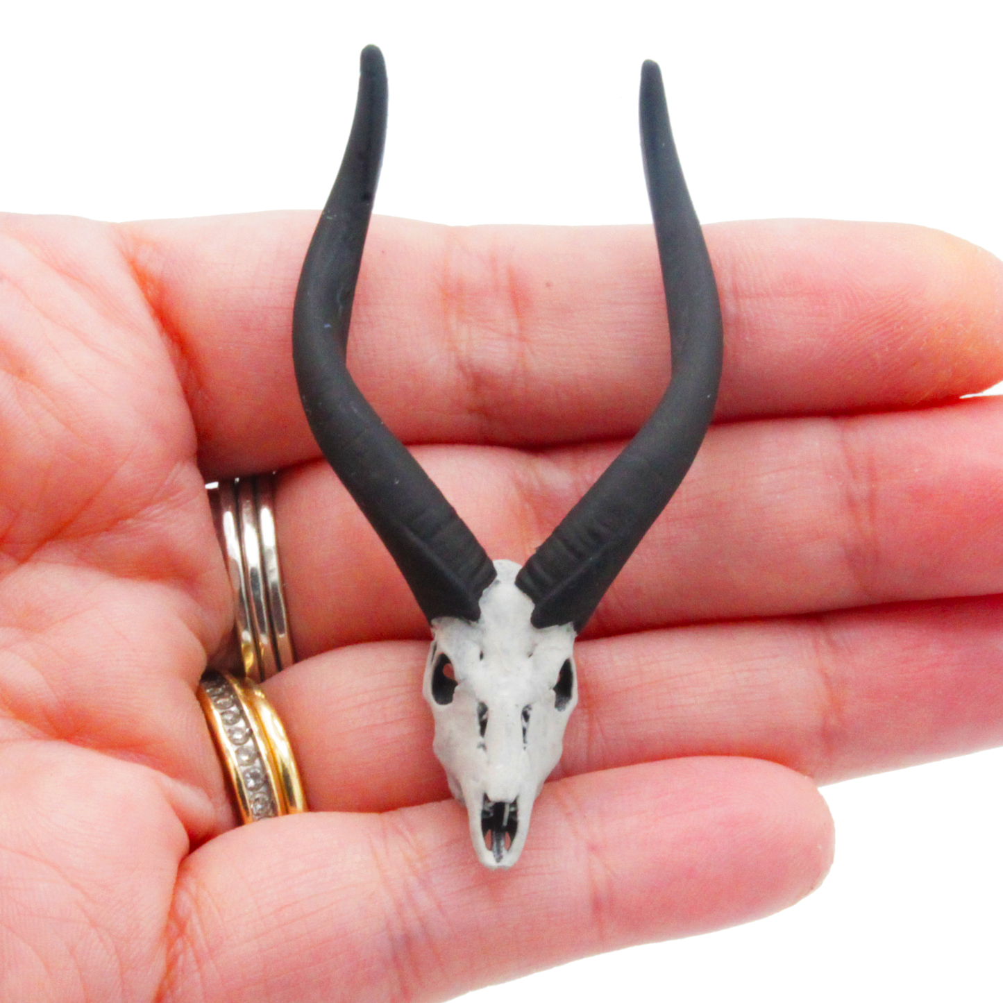 Nyala Antelope Skull Miniature (Field Bones #133: Africa) 1:12 Replica Collectible for Dollhouse and Diorama by The Scale Grail