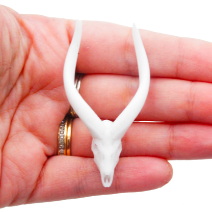 Nyala Antelope Skull Miniature (Field Bones #133: Africa) 1:12 Replica Collectible for Dollhouse and Diorama by The Scale Grail