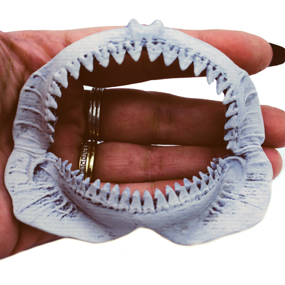 Megalodon Shark Jaw Miniature (Field Bones #131: Marine) 1:32 Replica Collectible for Dollhouse and Diorama by The Scale Grail