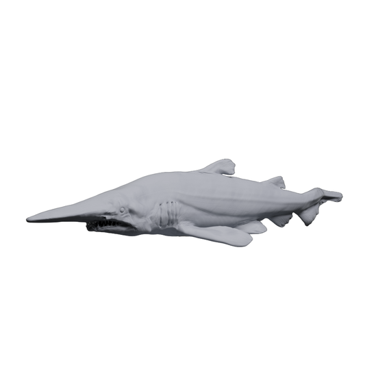 Goblin Shark | Animal Den Miniatures