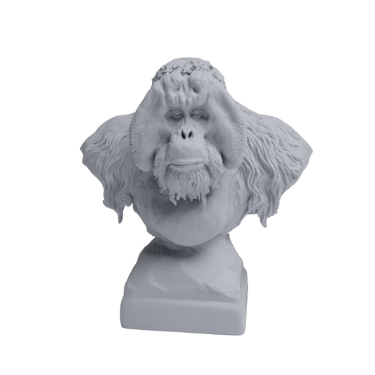 Sumatran Orangutan Bust | Animal Den Miniatures