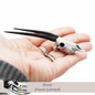 Gemsbok Skull (Field Bones Core Series: Africa) miniature dollhouse and diorama collectibles by The Scale Grail