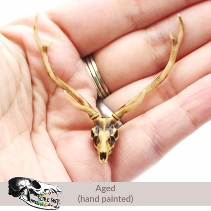 Axis Deer Skull (Field Bones Core Series: Asia) miniature dollhouse and diorama collectible by The Scale Grail