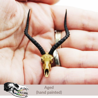 Impala Skull (Field Bones Core Series: Africa) miniature dollhouse and diorama collectible by The Scale Grail