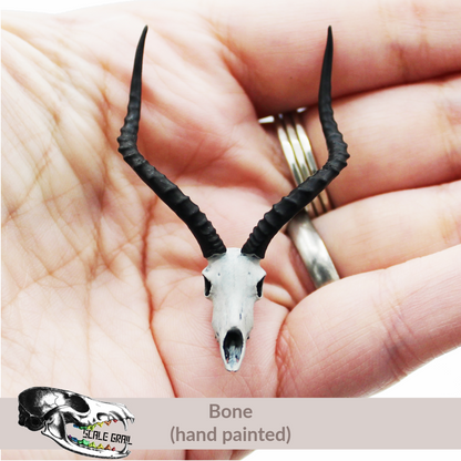 Impala Skull (Field Bones Core Series: Africa) miniature dollhouse and diorama collectible by The Scale Grail