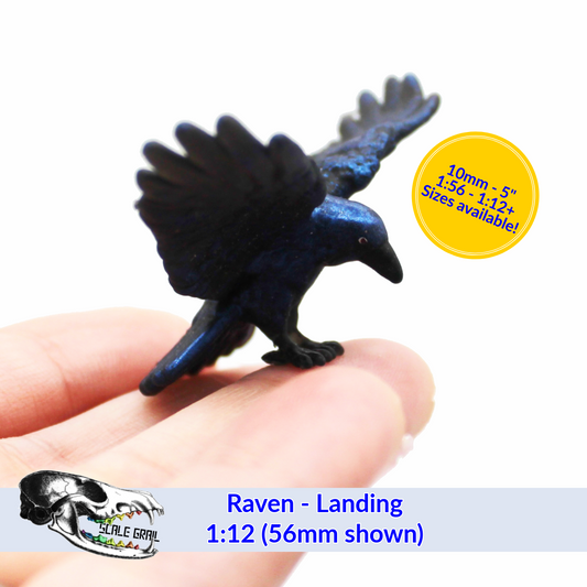 Raven - Landing miniature bird for dollhouse and diorama collectible by The Scale Grail