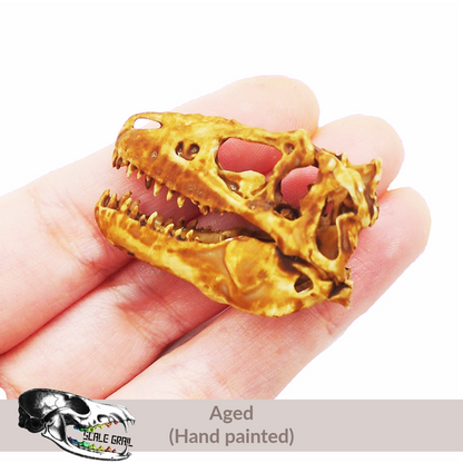1:12 scale T-Rex Skull miniature replica miniature — made in NC, USA