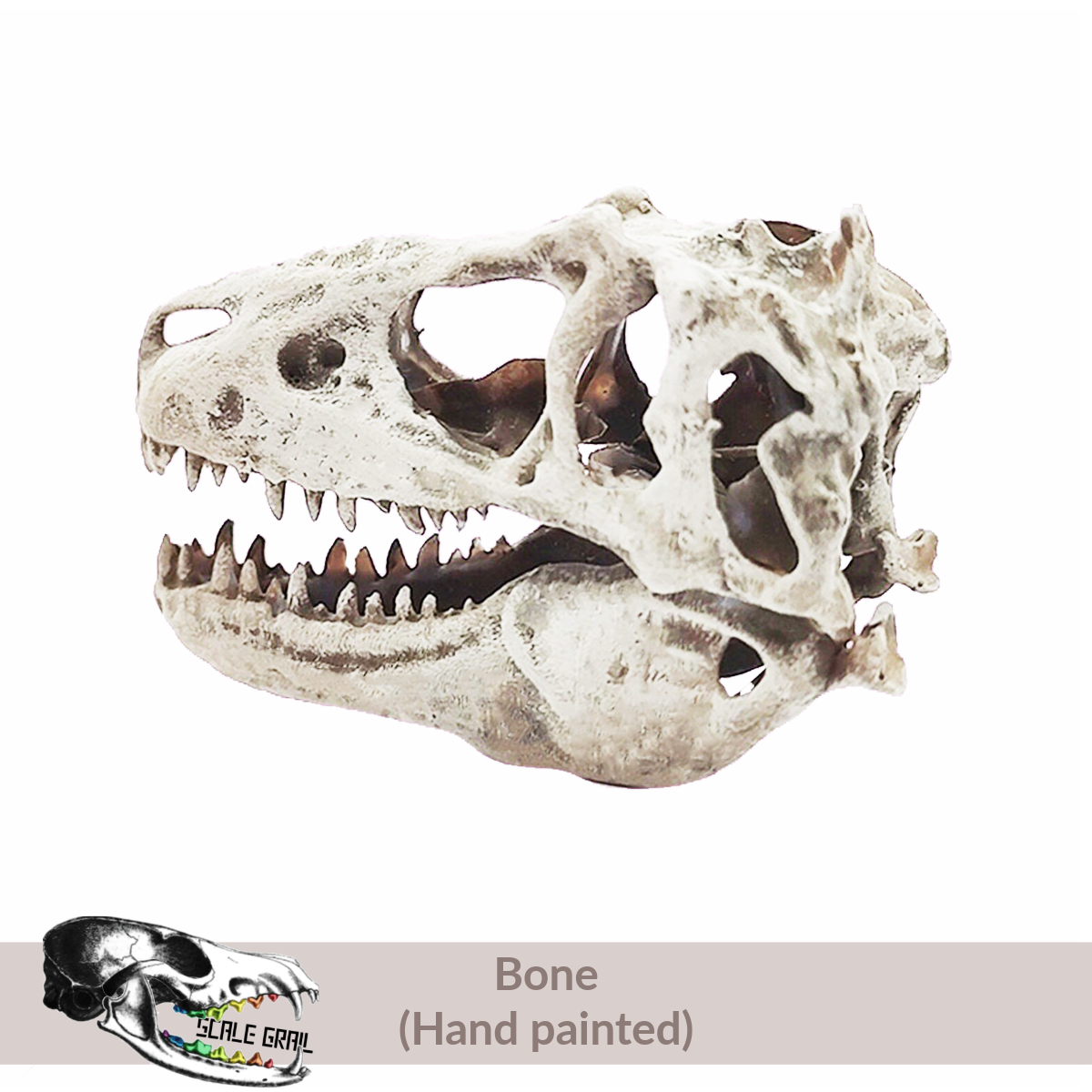 1:12 scale T-Rex Skull miniature replica miniature side view — The Scale Grail