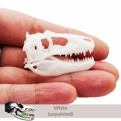 1:12 scale T-Rex Skull miniature replica miniature — made in NC, USA