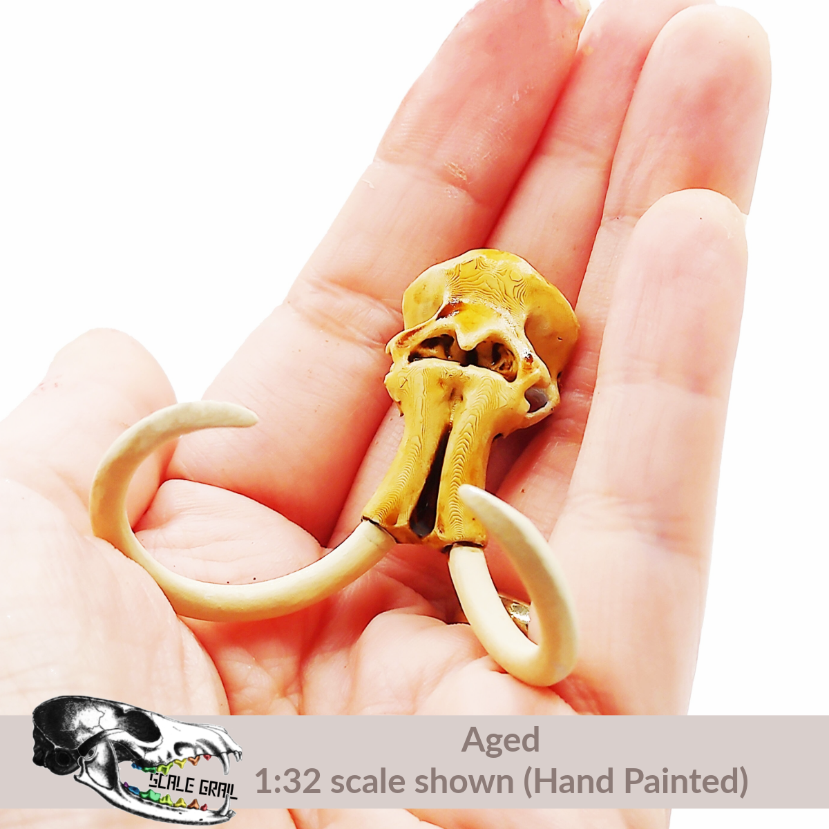 1:12 scale Woolly Mammoth Skull miniature replica miniature — made in NC, USA