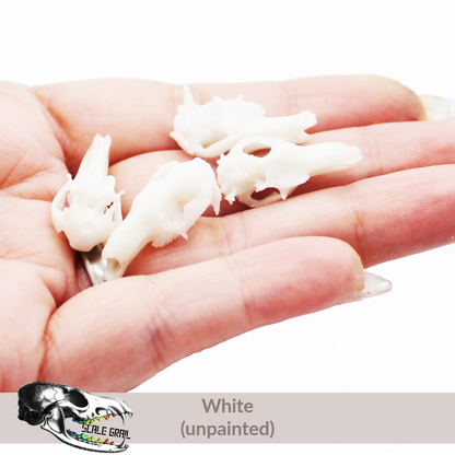 1:24 scale Red Kangaroo Skull miniature miniature — made in NC, USA