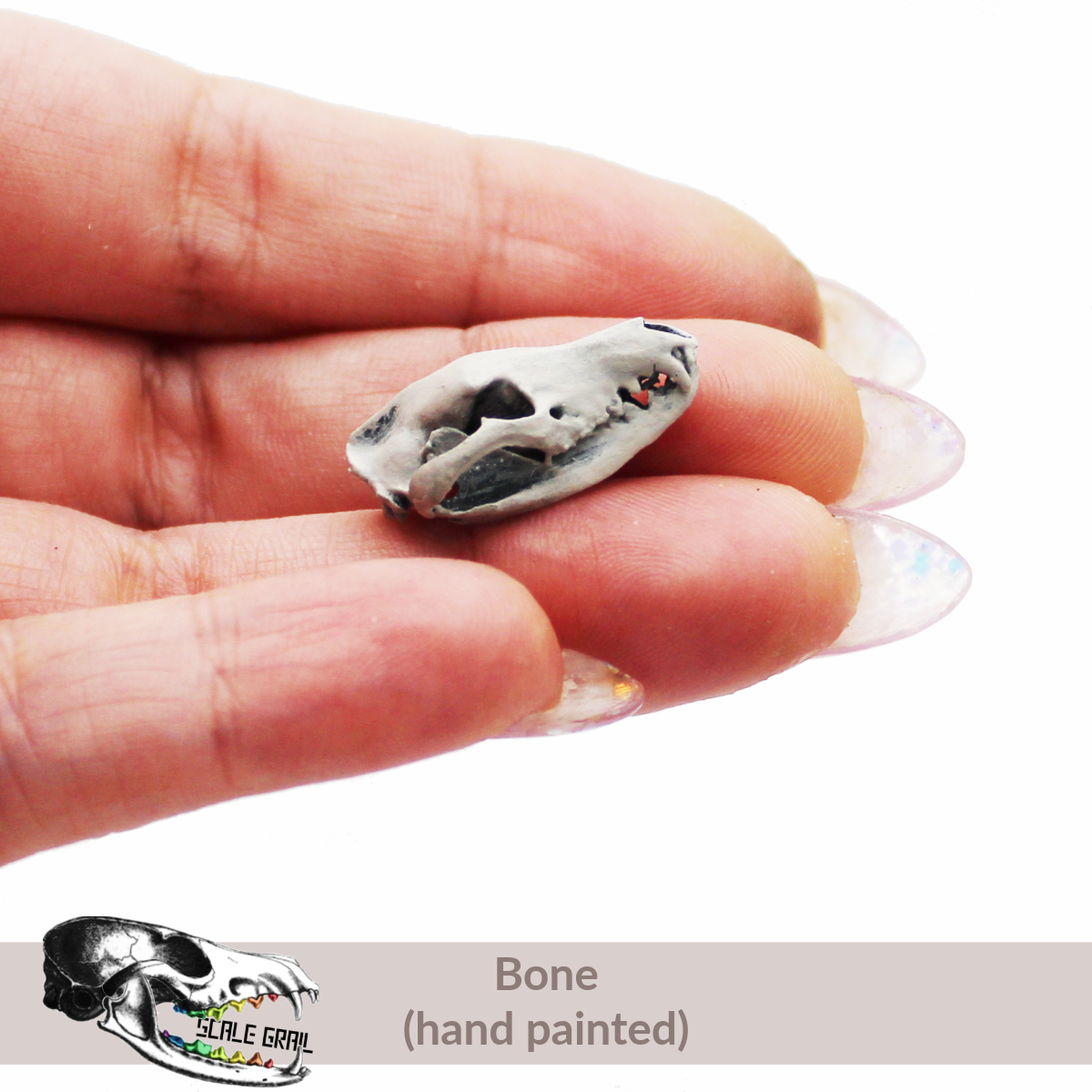 1:24 scale Tasmanian Tiger Skull miniature miniature side view — The Scale Grail