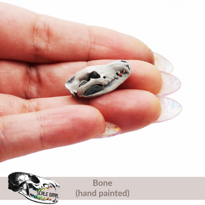 1:24 scale Tasmanian Tiger Skull miniature miniature side view — The Scale Grail