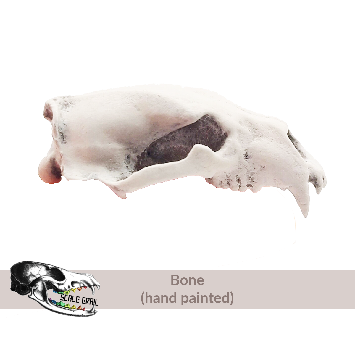 1:12 scale Polar Bear Skull Replica diorama and dollhouse collectible miniature detail view — 3D printed resin