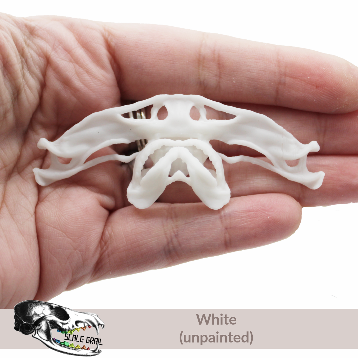 1:12 scale Hammerhead Shark Skull miniature miniature — made in NC, USA