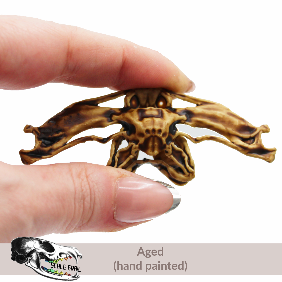 1:12 scale Hammerhead Shark Skull miniature miniature side view — The Scale Grail