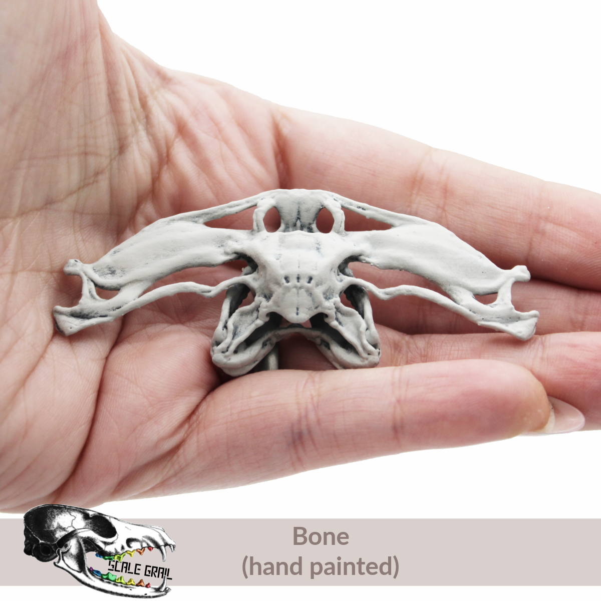 1:12 scale Hammerhead Shark Skull miniature miniature detail view — 3D printed resin