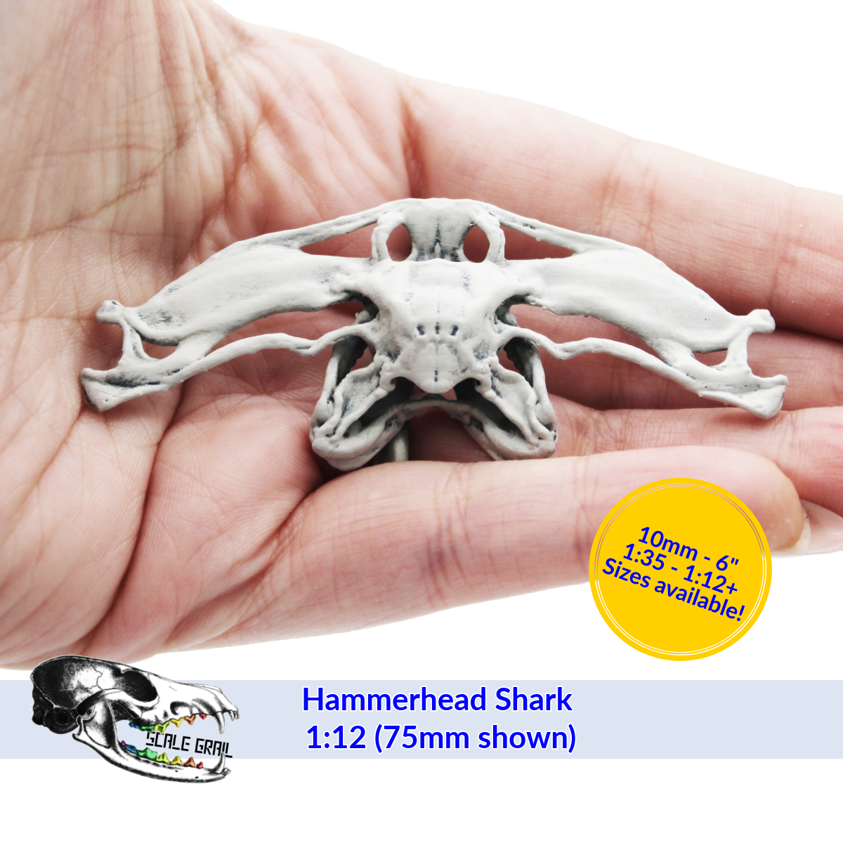 1:12 scale Hammerhead Shark Skull miniature miniature — handmade resin scale model by The Scale Grail