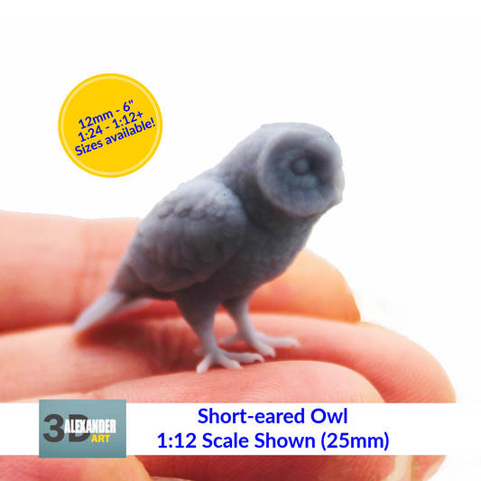 1:12 scale Short-eared Owl - 1:12 Scale miniature bird figurine by Alexander Kuzmenko (1 piece) miniature — handmade resin scale model by The Scale Grail