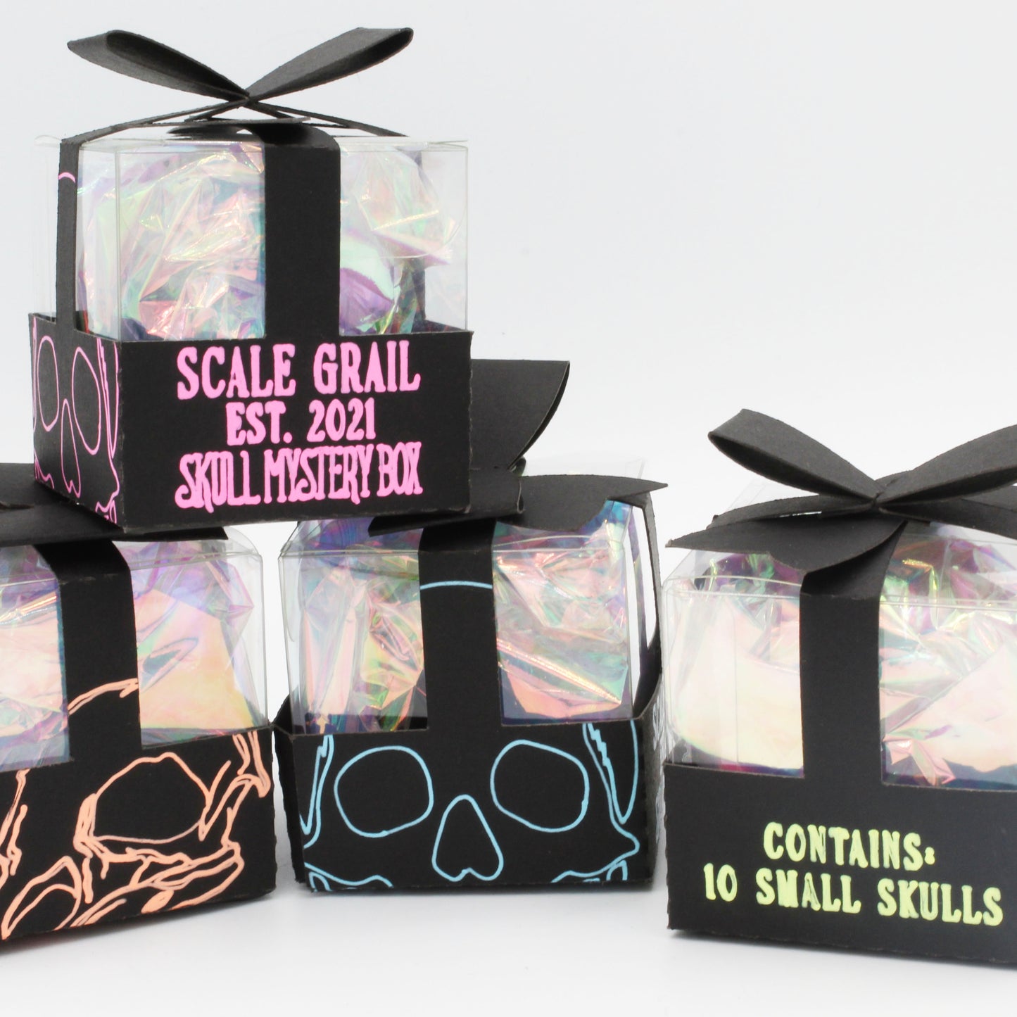 Skull Mystery Box - Ten different small variety animal skulls for arts, crafts, dollhouse, and dioramas!
