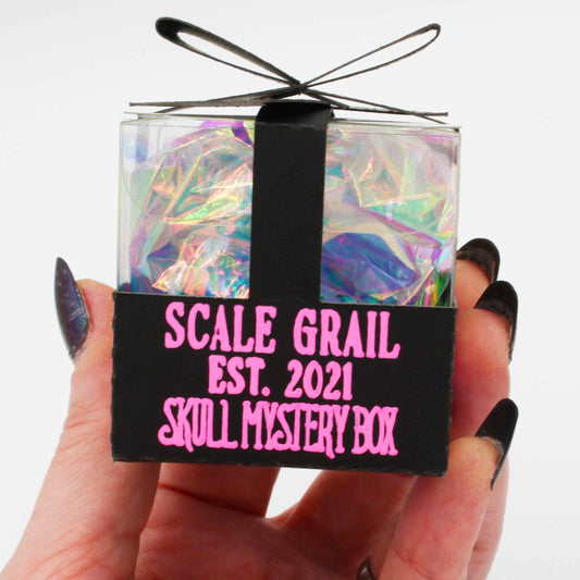Skull Mystery Box - Ten different small variety animal skulls for arts, crafts, dollhouse, and dioramas!