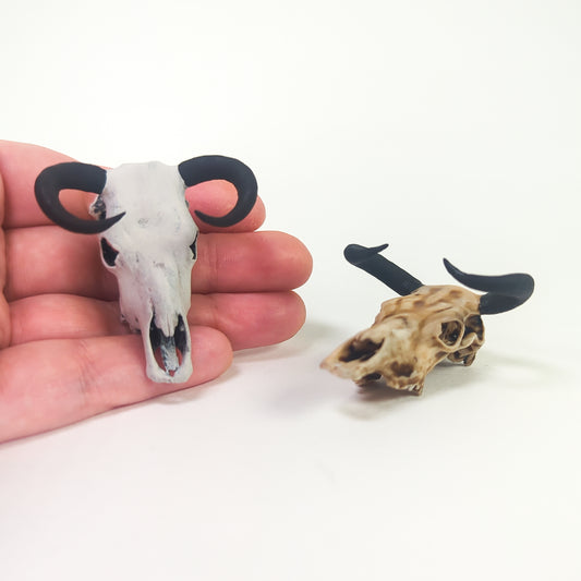 Auroch 1:24 Skull Replica