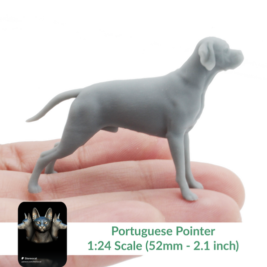 Portuguese Pointer- 1:24 Scale miniature dog for dollhouse, diorama by Stereocat (1 dog)