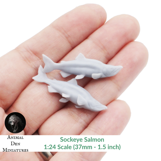 Sockeye Salmon - 1:24 Scale miniature fish for dollhouse, diorama by Animal Den Miniatures (2 pieces)