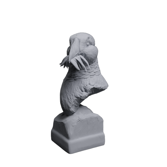 Atlantic Puffin Bust | Animal Den Miniatures