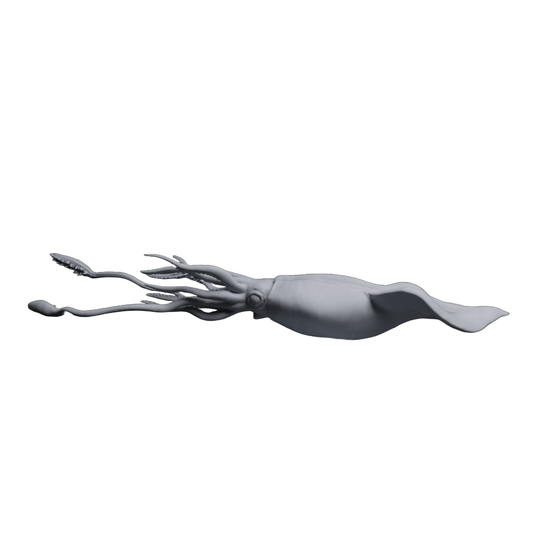 Colossal Squid | Animal Den Miniatures