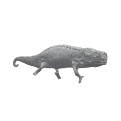 Nosy Hara Leaf Chameleon (Brookesia micra) | Animal Den Miniatures
