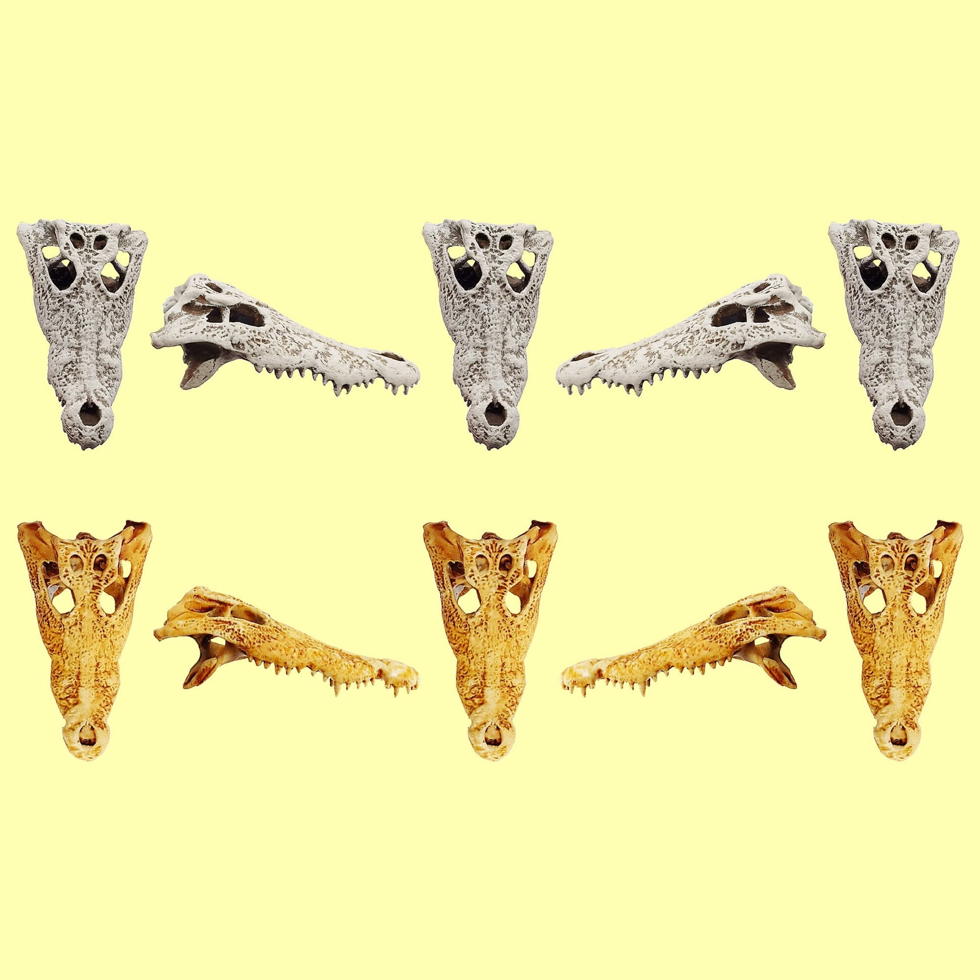 Crocodile skull replica, 1:12 scale, in hand-painted finish