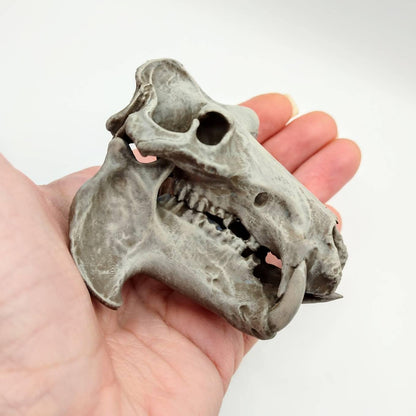 Hippo Skull Replica - 1:12 Scale Hippopotamus for diorama, miniature horror scenes,  dollhouse, curio cabinet (1 skull)