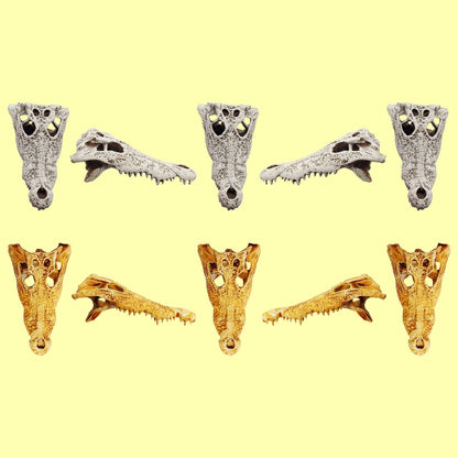 Crocodile Skull - 1:12 scale replica reptile skull for diorama, dollhouse, terrariums, art craft supplies curiosities oddities (set of 5)