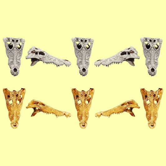 Crocodile Skull - 1:12 scale replica reptile skull for diorama, dollhouse, terrariums, art craft supplies curiosities oddities (set of 5)