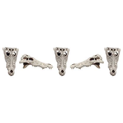 Crocodile Skull - 1:12 scale replica reptile skull for diorama, dollhouse, terrariums, art craft supplies curiosities oddities (set of 5)