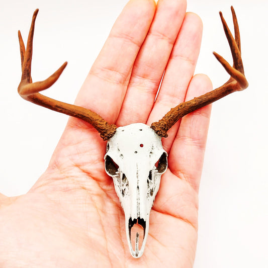White Tail Deer skull with Antlers - 1:6 scale miniature realistic animal cranium for diorama, dollhouse, art and craft gift (1 skull)