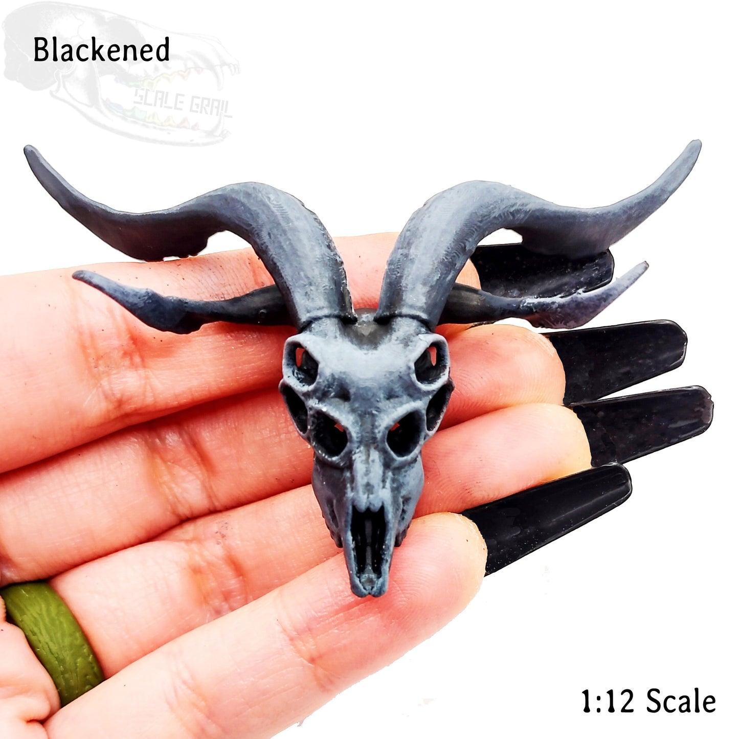Demon Goat Skull - 1:12 scale miniature cranium size for occult diorama, dollhouse, arts and crafts, horror curiosities oddities (1 skull)