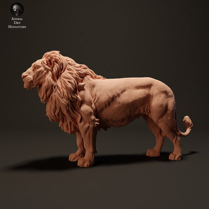 Lion - 1:24 Scale miniature feline for safari diorama by Animal Den Miniatures (1 animal)