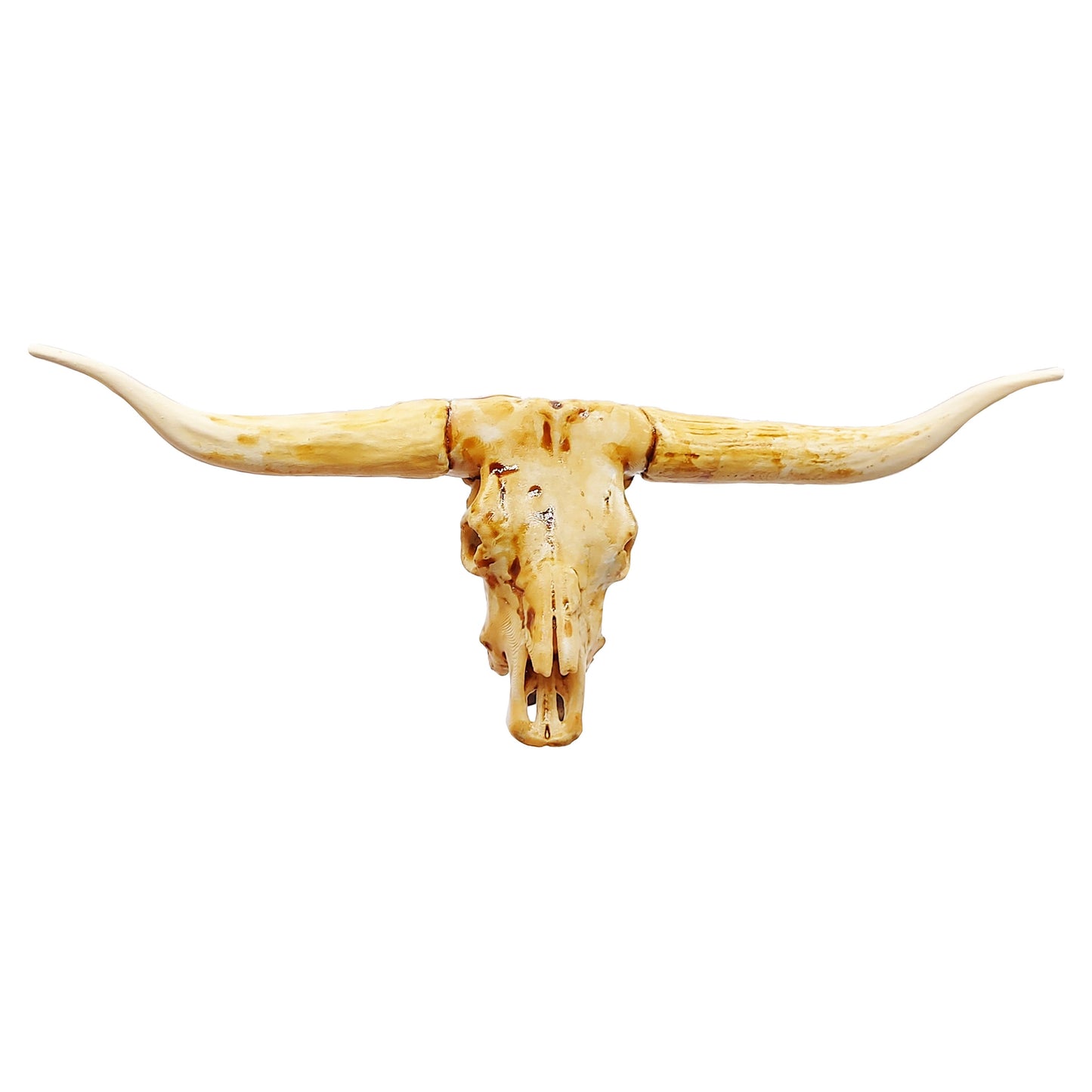 Texas Longhorn skull replica, 1:12 scale, aged paint wash finish