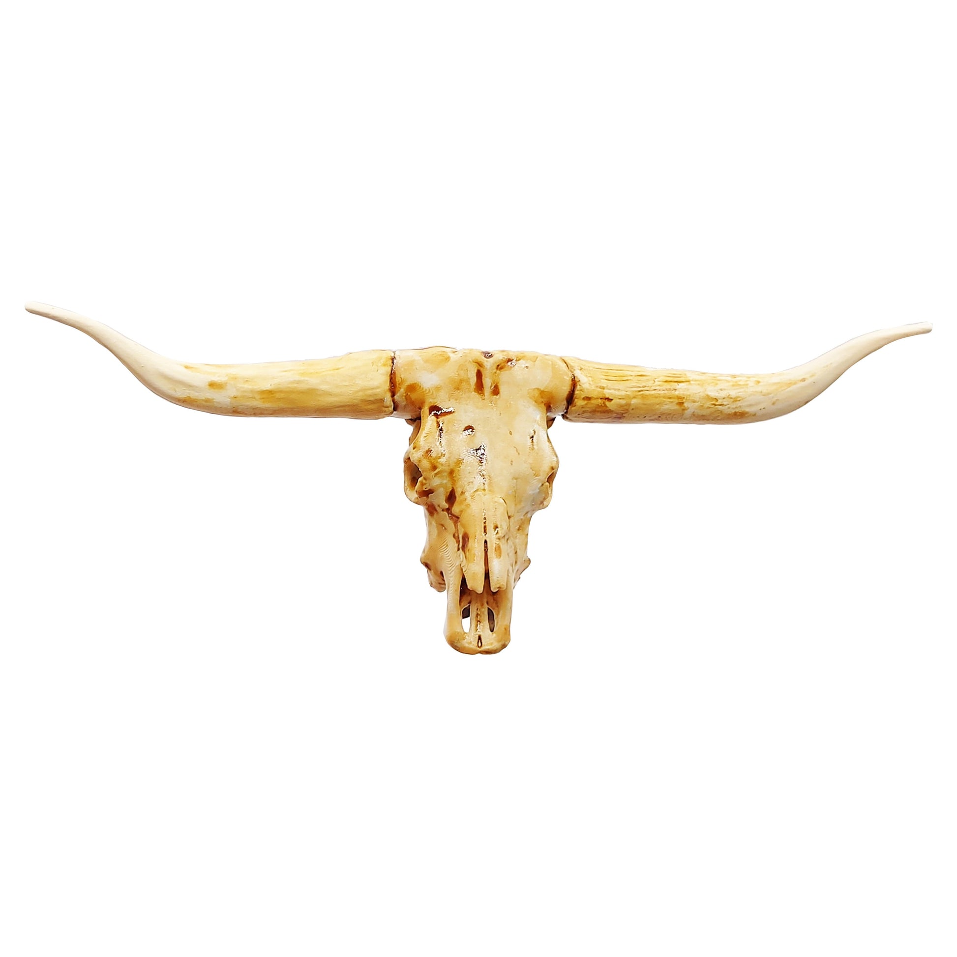 Texas Longhorn skull replica, 1:12 scale, aged paint wash finish