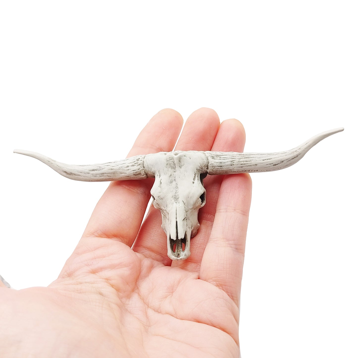 Texas Longhorn skull replica, 1:12 scale, bone hand-painted finish, 132mm horn span