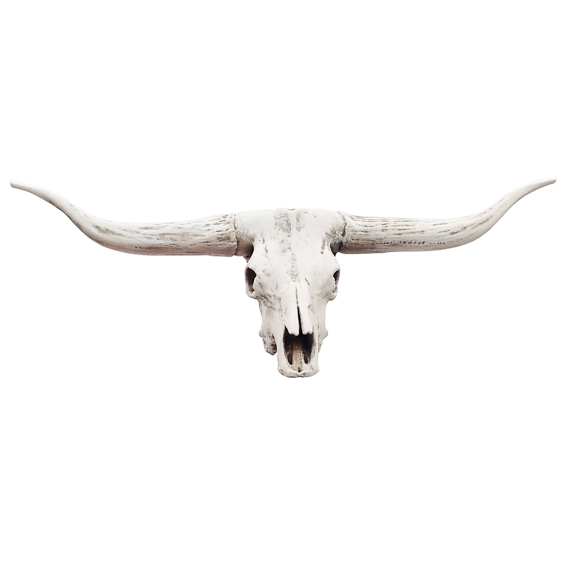 Texas Longhorn skull replica, 1:12 scale, bone hand-painted finish, 132mm horn span