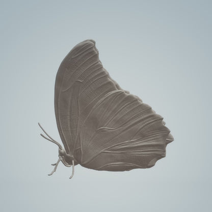 Blue Morpho with Closed Wings Miniature | Blue morpho Replica by Animal Den Miniatures - 10mm to 7" Sizes