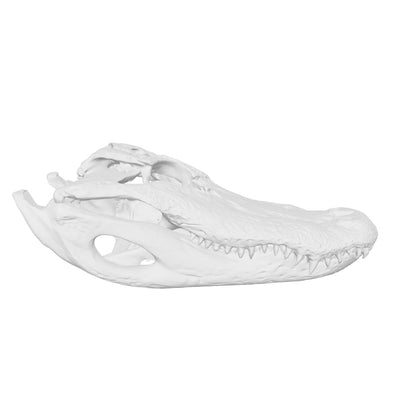 Alligator Skull Replica — 1:12 Scale (Set of 5)