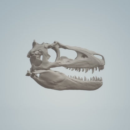 T-Rex Skull (Field Bones #2: Extinct) miniature replica by The Scale Grail