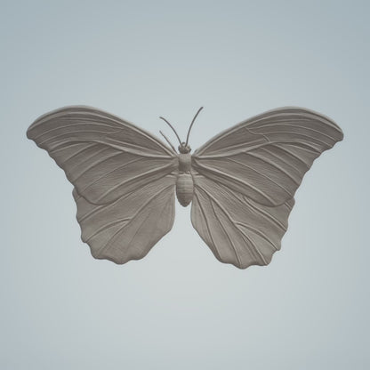 Blue Morpho Miniature | Blue morpho Replica by Animal Den Miniatures - 10mm to 7" Sizes